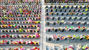 清明节祭祖墓地4K航拍视频素材28秒视频