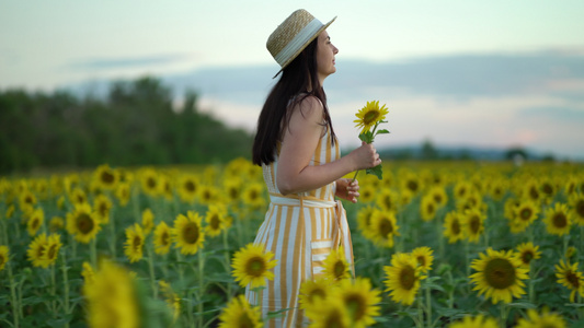 穿着衣服的年轻女子在田野里漫步日落时有向日葵视频