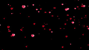 花瓣飘落动画元素带透明度通道19秒视频