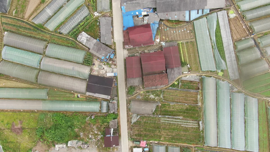 航拍乡村农业大棚种植基地视频