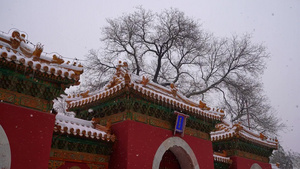 北京北海公园的自然风光10秒视频
