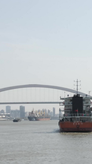 卢浦大桥全貌仰视黄浦江49秒视频