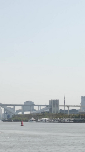 卢浦大桥全貌仰视黄浦江49秒视频