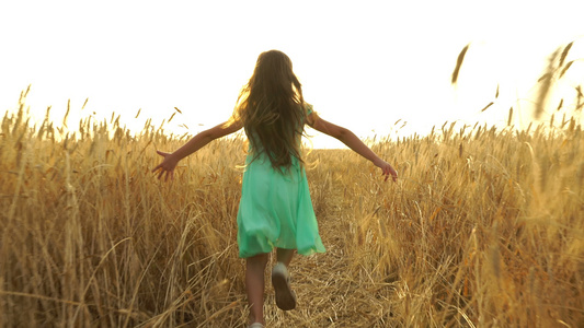穿着服装的年轻女孩正在横跨田野中奔跑视频