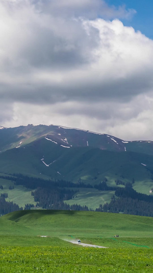 5A伊犁那拉提景区绿色草原与天山山脉雪山延时视频风景名胜15秒视频