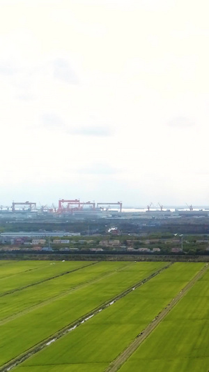 上海长兴岛风力发电风车世界地球日38秒视频