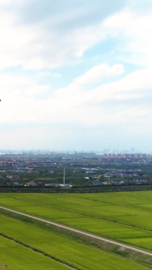 上海长兴岛风力发电风车清洁能源38秒视频