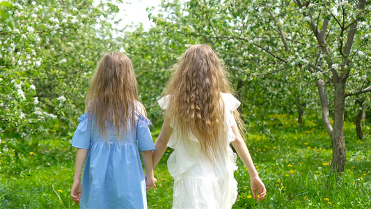 春日在盛开的苹果树花园里可爱可爱的小姑娘们视频