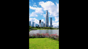 4K深圳南山CBD城市人才公园风景竖屏18秒视频