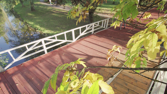 在公园的木桥上在全天候合成轨道表面运行从上面看以树枝视频