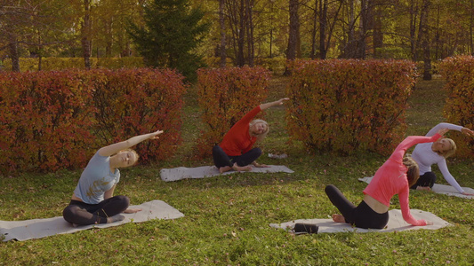 妇女在公园拉伸和练瑜伽视频