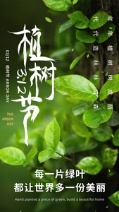 绿色竖版植树节节日宣传海报AE模板视频