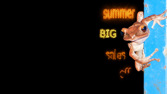 夏季大销售额每期80份带有动物背景的文本视频