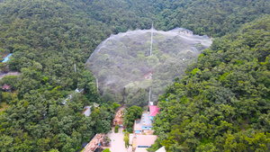 5A风景区大连老虎滩鸟语林航拍合集4K77秒视频