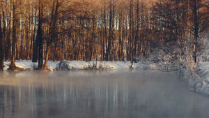 冬仙境季风景在森林河上25秒视频