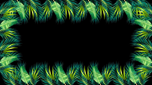 热带植物边框视频