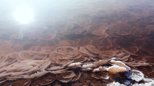 黑海面盐以圆煎饼的形式在底部和河口的岸边食盐表盐晶体视频