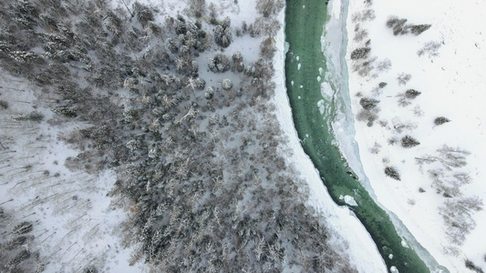 新疆喀纳斯河道航拍视频