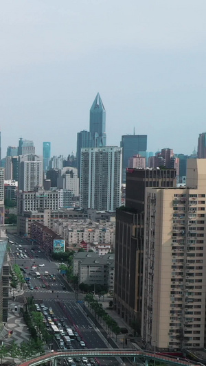 上海城市地标摩天轮大悦城52秒视频