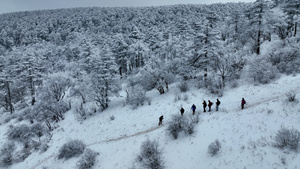 8K航拍山顶滑雪登山人雪山21秒视频