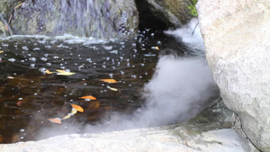 热带花园的瀑布流到小溪8秒视频