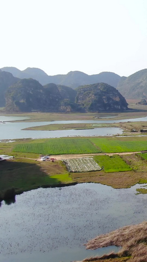 航拍5A景点云南喀斯特地貌湿地公园普者黑景区视频田园风光46秒视频