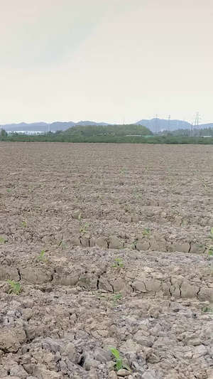 农村耕地 航拍现代城镇60秒视频