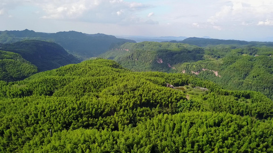 竹海竹林风景线竹子航拍视频素材[层峦叠翠]视频