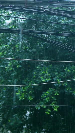 下雨天路上电线8秒视频