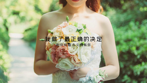 浪漫温馨简约婚礼相册Pr模板53秒视频