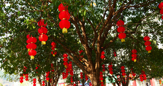 小区春节灯笼氛围新年空镜头4k视频