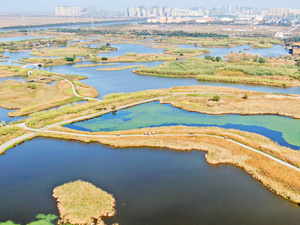 杭州湾国家湿地公园航拍154秒视频