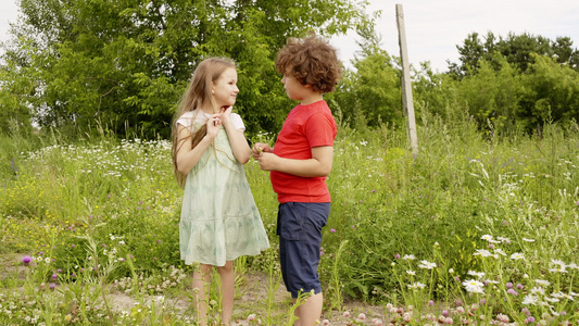 卷曲的男孩和女孩看着花在暑假在绿色的田野上散步哥哥视频