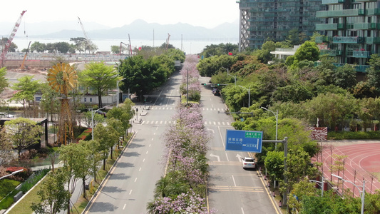 航拍深圳城市大道交通[路至]视频