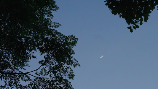 夜空中弯弯的月亮视频