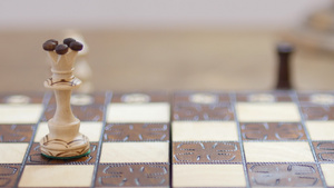 白皇后反击黑主教国际象棋14秒视频