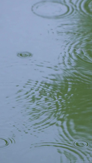 慢动作升格摄影下雨雨水雨滴雨季素材雨滴素材67秒视频