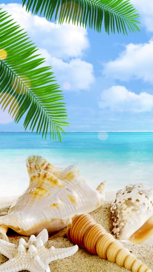 夏季海边度假海边旅行背景视频海边游玩20秒视频