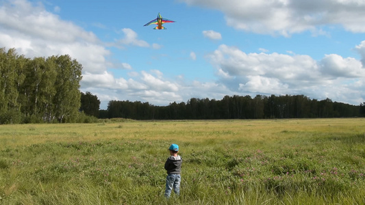 小孩在树林里放风筝视频