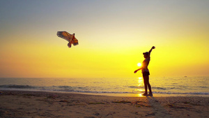 夏日日落海滩上放风筝的男孩16秒视频
