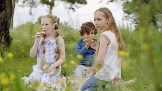 青少年女孩和男孩在野餐时吃披萨坐在野花的草地上视频