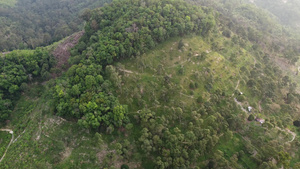 航拍种植园10秒视频