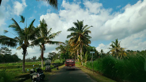 印尼小镇椰树林小道行车视角49秒视频
