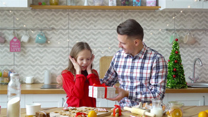 圣诞节度假时父亲和女儿的家属29秒视频