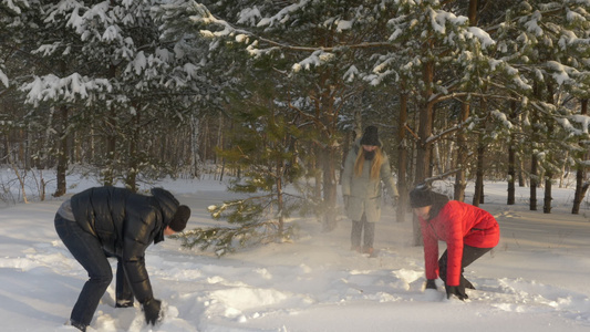 在冬季松树林的雪球比赛中视频