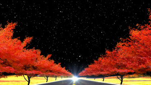 秋天红枫树舞台背景20秒视频
