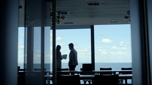 业务团队剪影在美丽的海景窗口讨论想法23秒视频