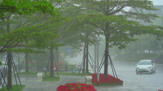 暴雨升格慢动作细节视频视频