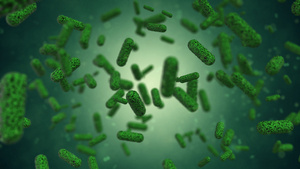 4K细菌细胞病毒15秒视频