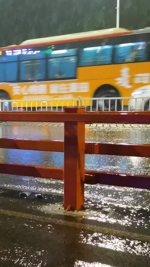 实拍夏季雨中即景梅雨季26秒视频